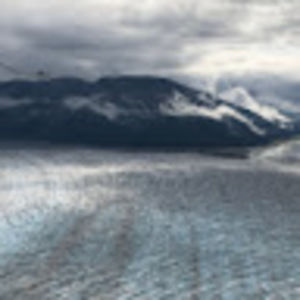 Meet your Posher, Joanne